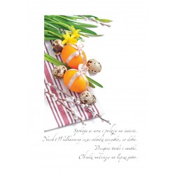 Miesięcznik SEP INPE, nr 283 - wersja papierowa